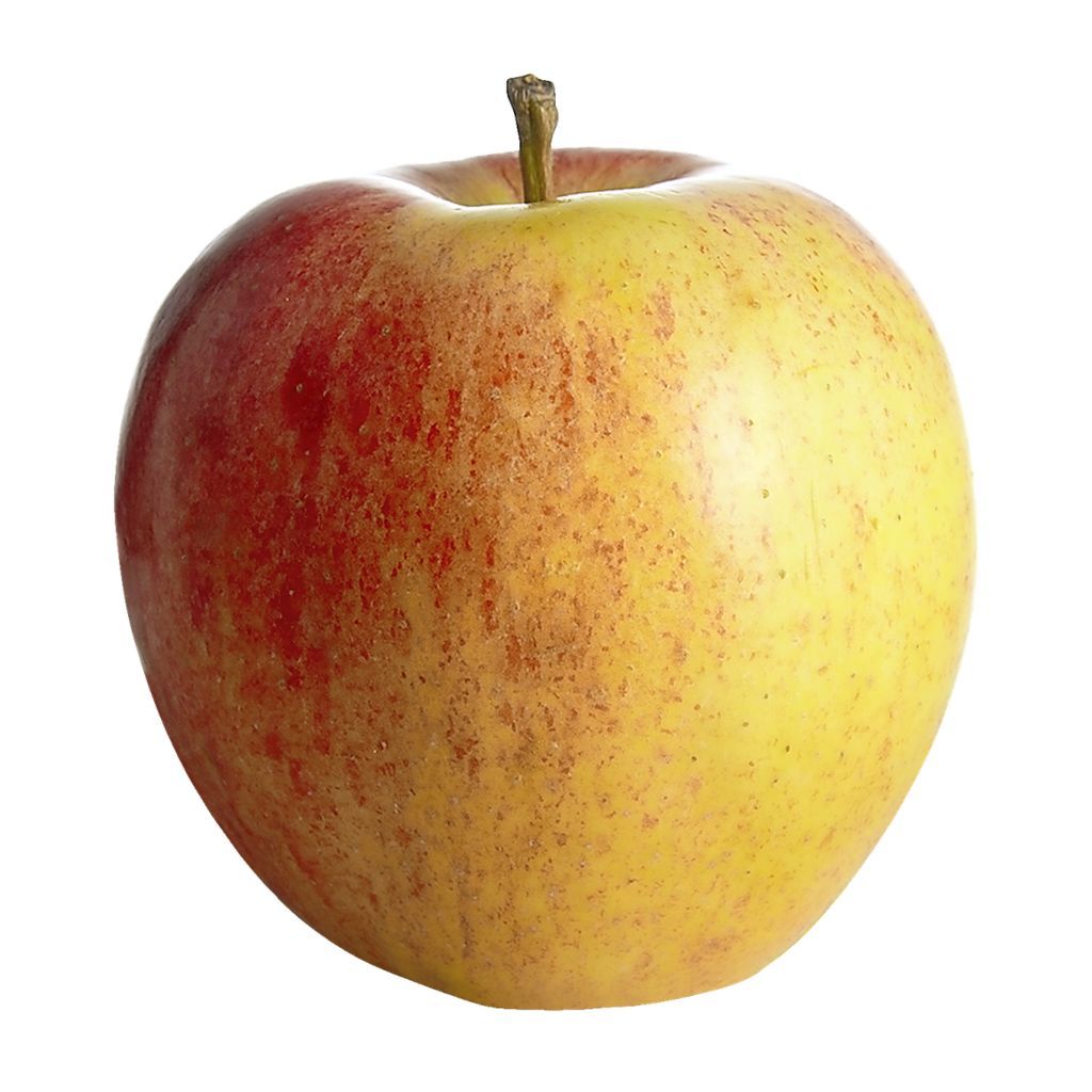 Apples Gala - 5 lb bag