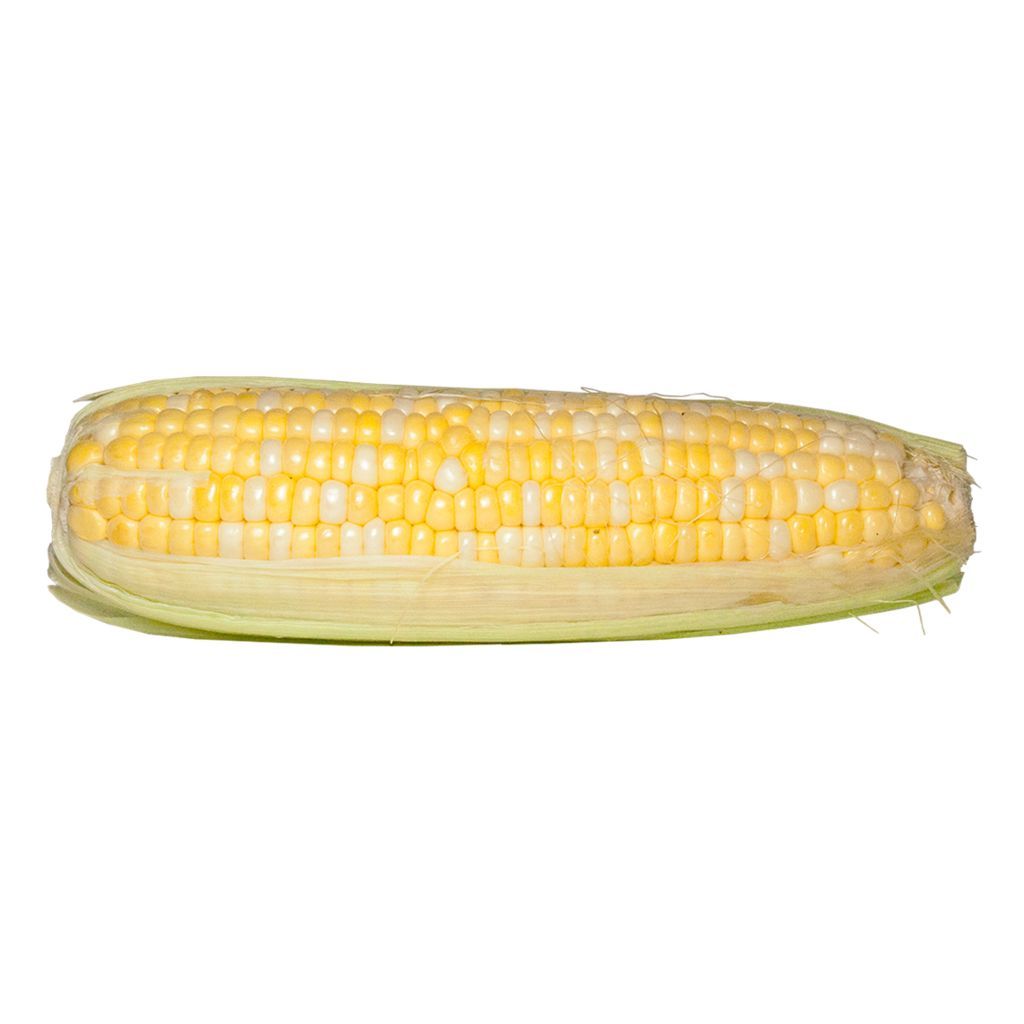 Corn on the Cob (Case of 45)