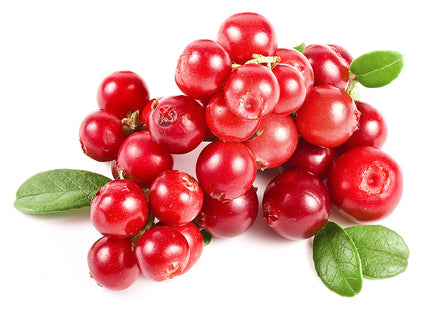 Fresh Cranberries - pkg