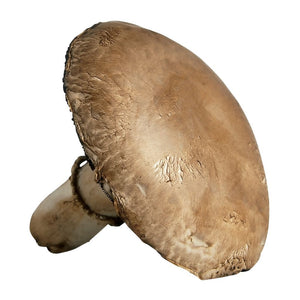 Mushrooms - Portabello - Local ONT (each)