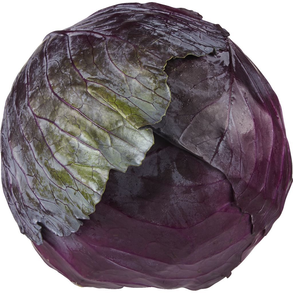 Cabbage - Red (each)
