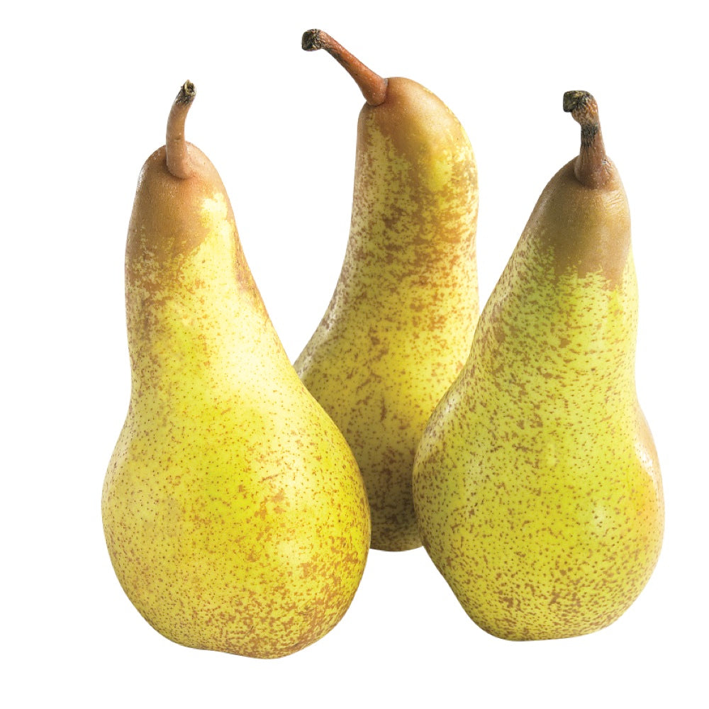 Pears - Abate (each EST)