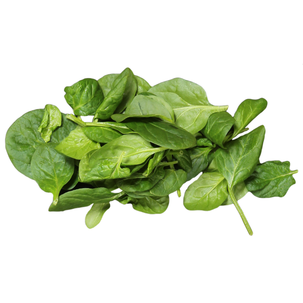 Spinach - Baby (10lb)