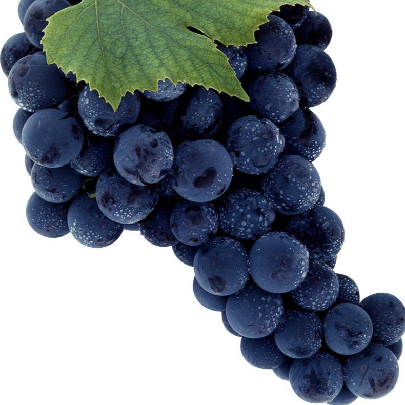 Grapes - Blue - Local ONT (1.5L)