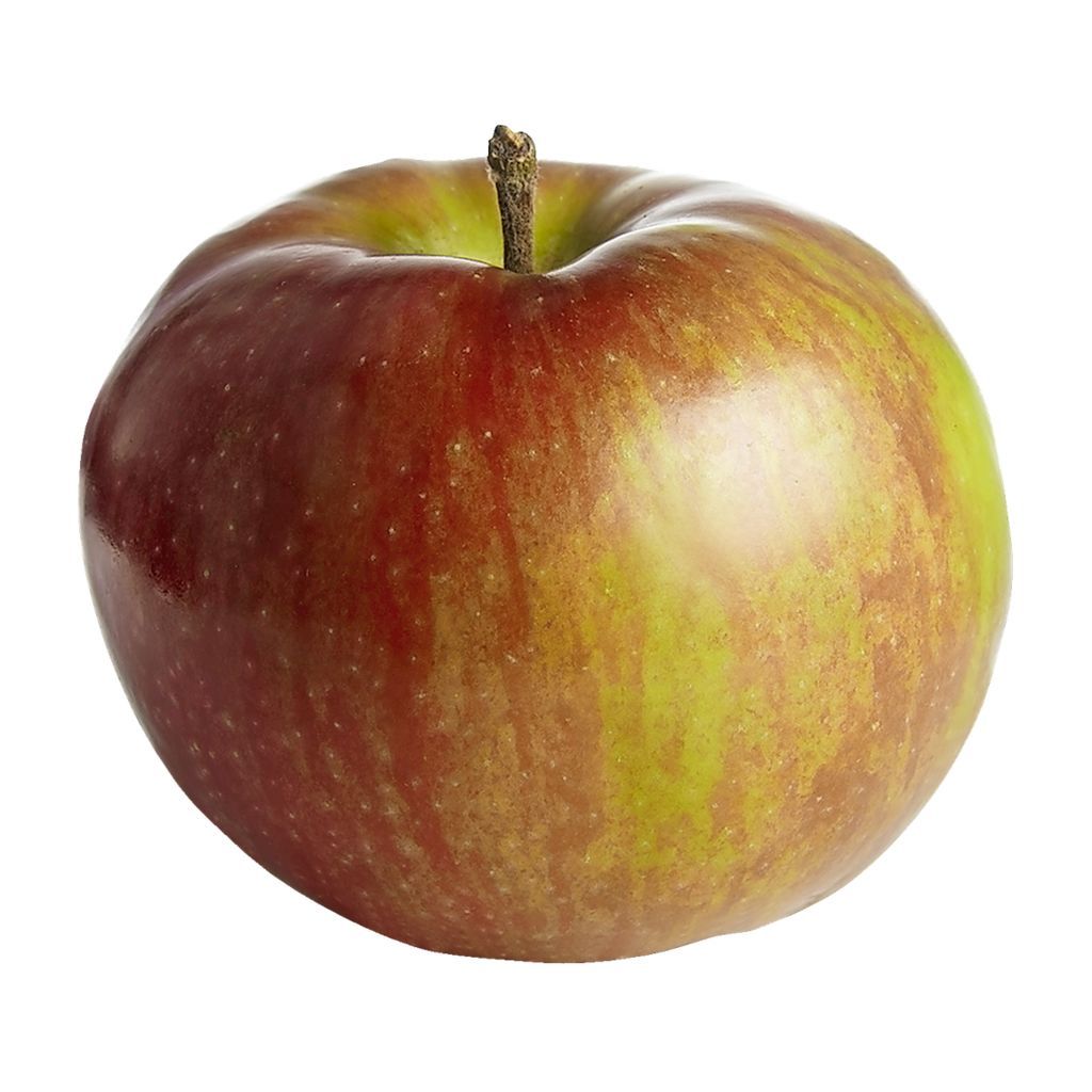 Apples - Macintosh - Local ONT (each)
