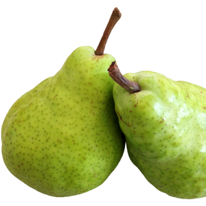 Pears - Bartlett (2L basket) [ONT]