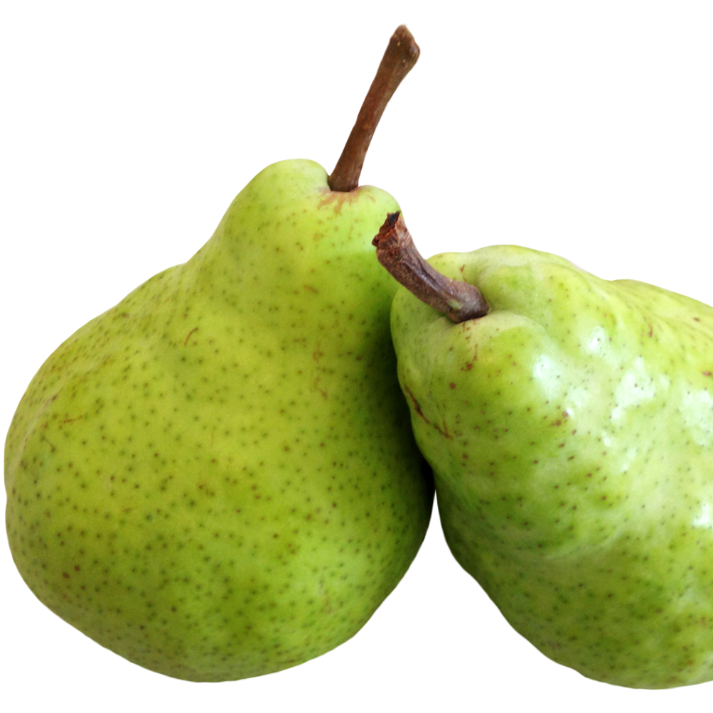 Pears - Bartlett (2L basket) [ONT]