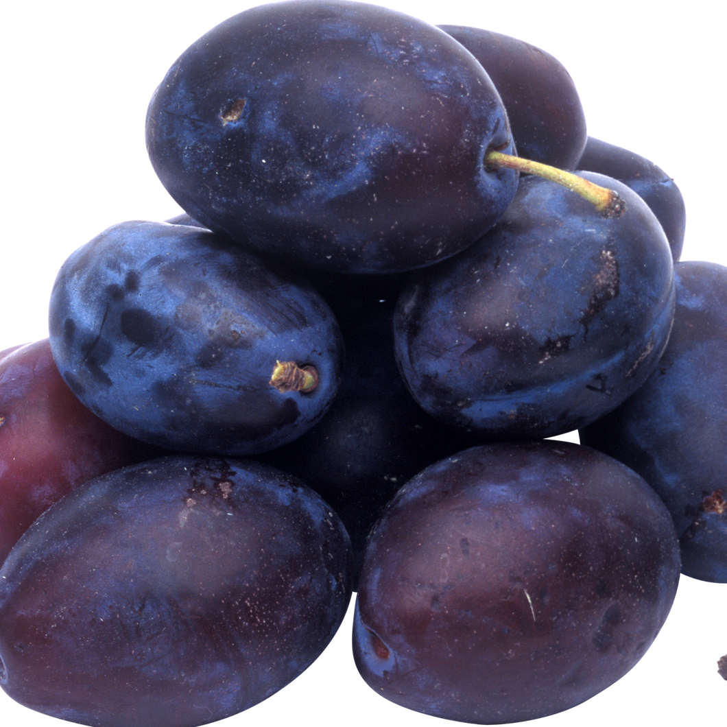 Blue Plums - Quart  [ONT] SPECIAL