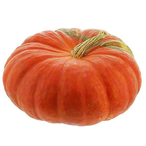 Pumpkin - Cinderella (each)
