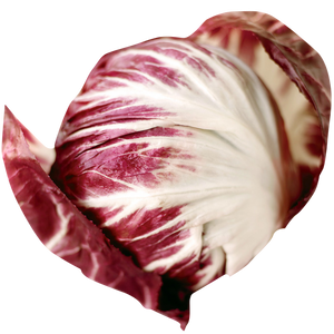 Radicchio (each EST)