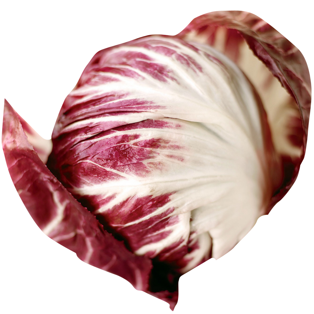 Radicchio (each EST)