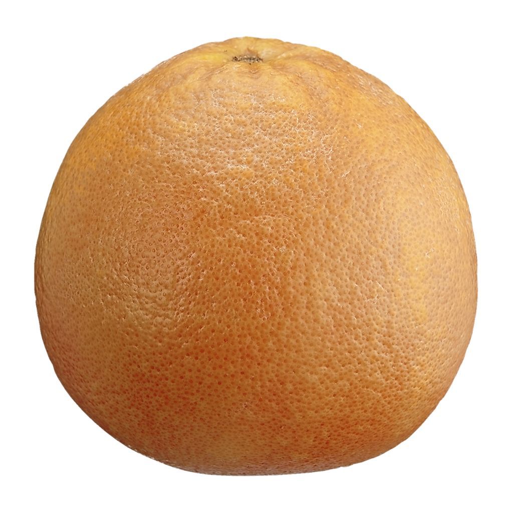 Grapefruit - Large (Case of 32 - 36)