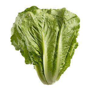 Lettuce - Romaine - (Case of 24)