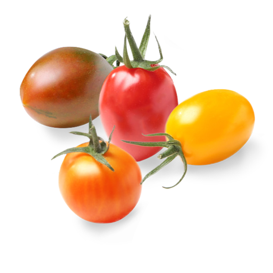 Tomatoes - Cherry Medley (pkg)