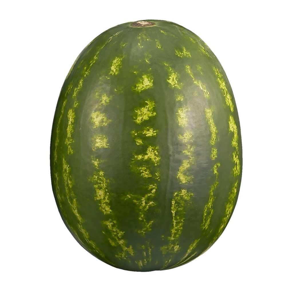 Watermelon - Whole