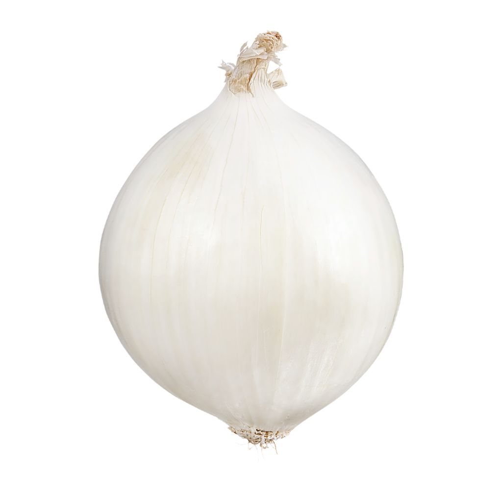 Onions - White (each)